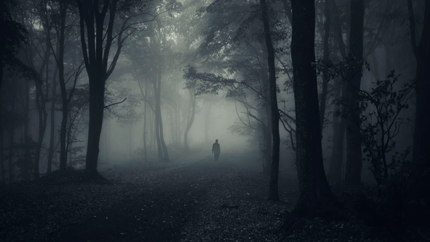paranormal bosque