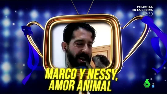 'Marco y Nessy, amor animal' se convierte en el tercer ganador del premio Zapeando al mejor reportero 'Marco y Nessy, amor animal' se convierte en el tercer ganador del premio Zapeando al mejor reportero