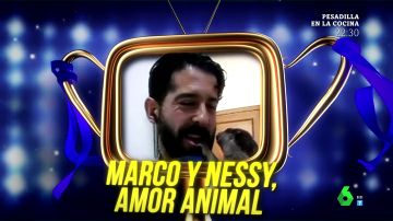 'Marco y Nessy, amor animal' se convierte en el tercer ganador del premio Zapeando al mejor reportero