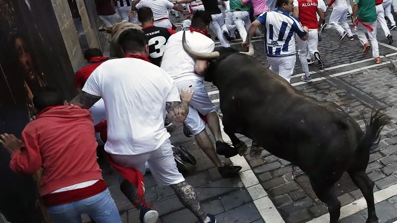 Los toros de la ganadería gaditana de Núñez del Cuvillo enfilan junto a mansos y corredores la curva de Mercaderes con la calle Estafeta.