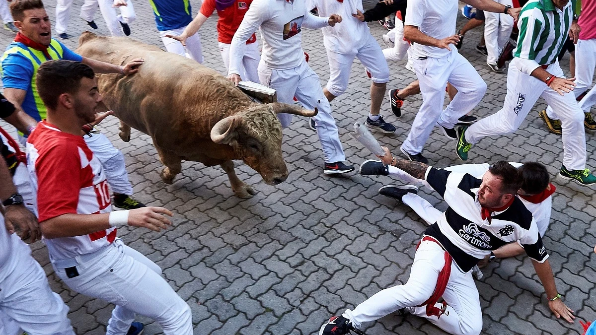 Los toros de Núñez del Cuvillo a su paso por el tramo de Telefónica