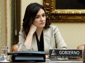 La exministra de Sanidad, Consumo y Bienestar Social, Carmen Montón La exministra de Sanidad, Consumo y Bienestar Social, Carmen Montón