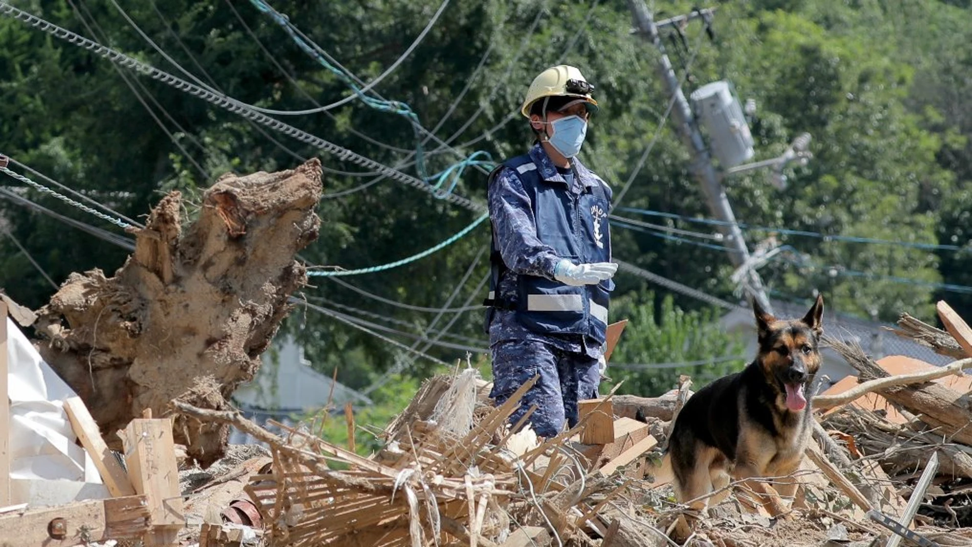 La Fuerza Marítima de Autodefensa de Japón busca víctimas entre los escombros con perros de rescate
