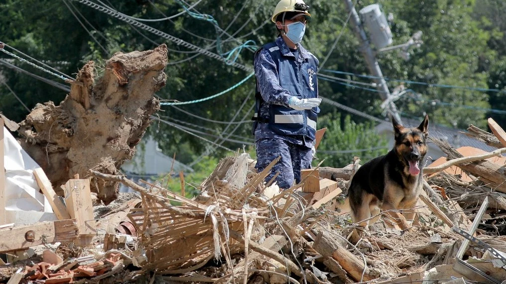 La Fuerza Marítima de Autodefensa de Japón busca víctimas entre los escombros con perros de rescate