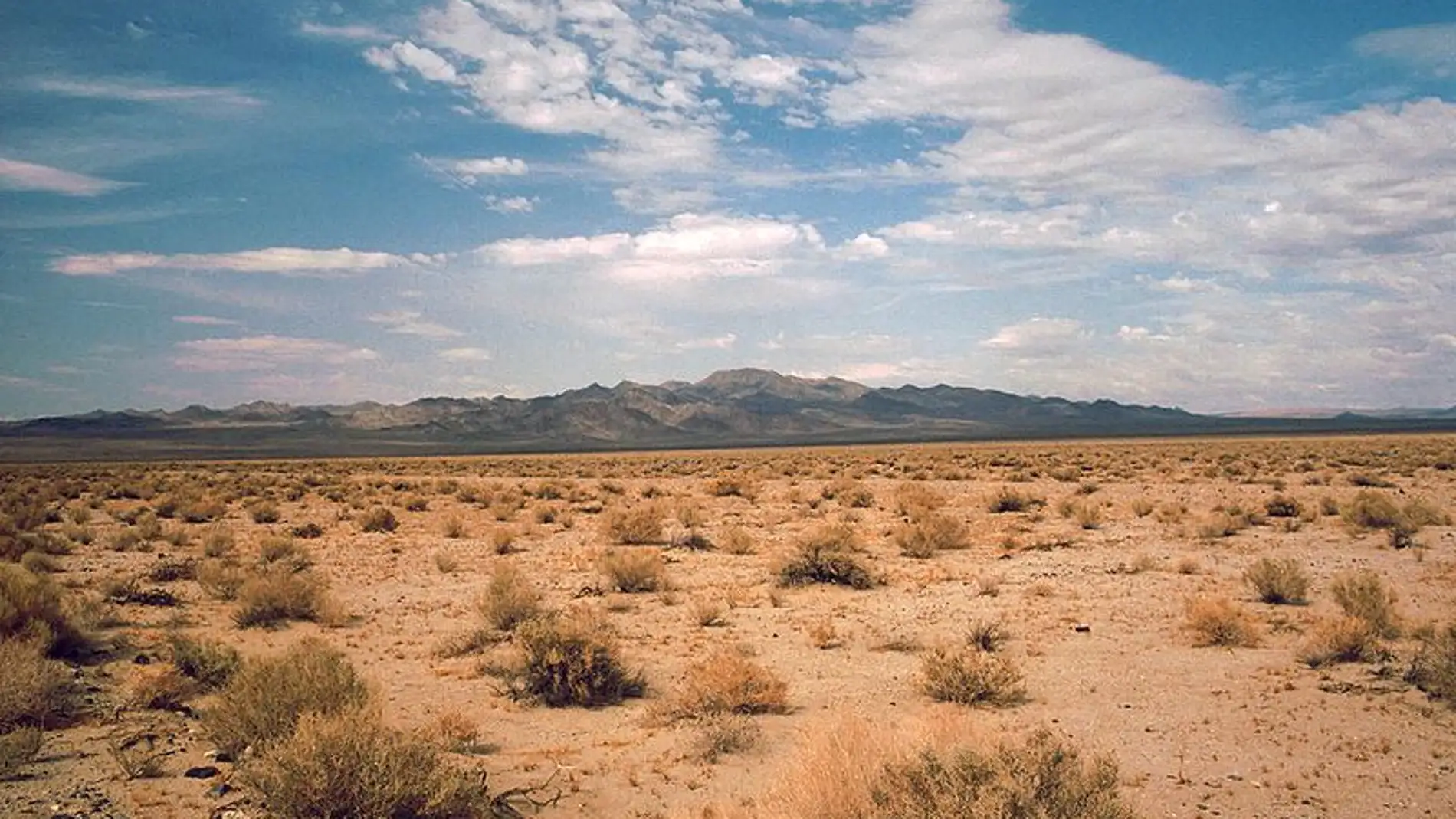 Bioingenieria para combatir los efectos del cambio climatico