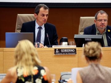 El ministro de Ciencia, Innovación y Universidades, Pedro Duque, durante su comparecencia ante la Comisión de Ciencia del Congreso. El ministro de Ciencia, Innovación y Universidades, Pedro Duque, durante su comparecencia ante la Comisión de Ciencia del Congreso.