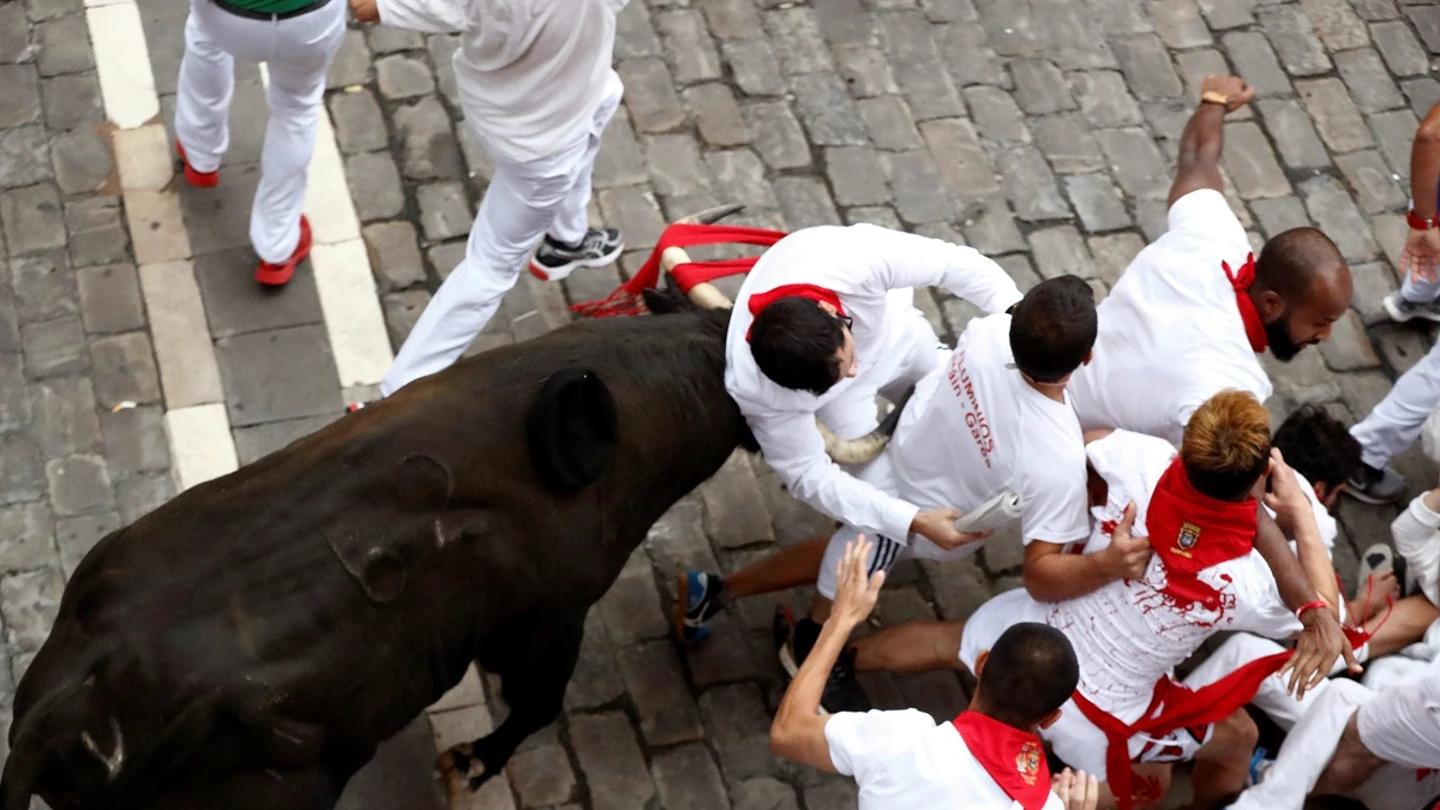 Un toro de Jandilla coge a un mozo Un toro de Jandilla coge a un mozo