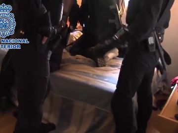 Detenidos 39 integrantes de bandas latinas, entre ellos 11 menores, por robos con violencia en Madrid Detenidos 39 integrantes de bandas latinas, entre ellos 11 menores, por robos con violencia en Madrid