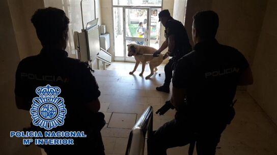 Perro inmovilizado por la Polic&iacute;a