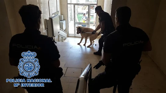Perro inmovilizado por la Policía Perro inmovilizado por la Policía