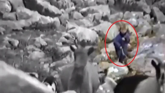 ¿Luka Modric pastoreando ovejas? ¿Luka Modric pastoreando ovejas?