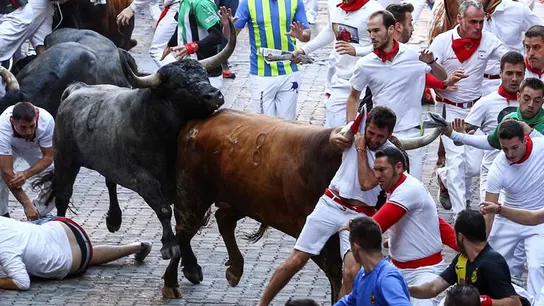 Octavo y último encierro de los Sanfermines 2018 Un toro de la ganadería sevillana de Miura arrastra a un mozo a su paso por el tramo de Telefónica durante el octavo y último encierro de los Sanfermines 2018.