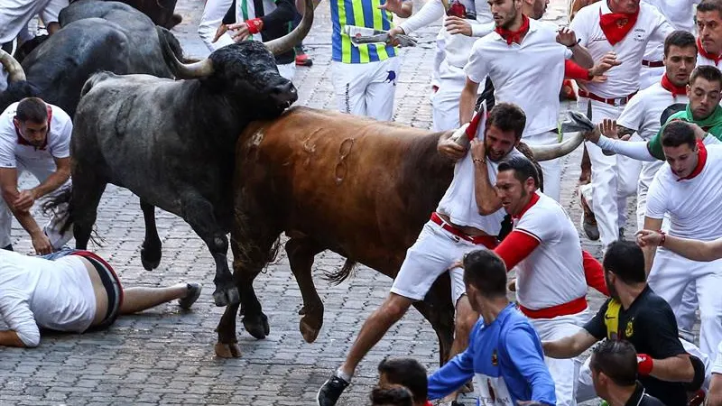 Un toro de la ganadería sevillana de Miura arrastra a un mozo a su paso por el tramo de Telefónica durante el octavo y último encierro de los Sanfermines 2018.