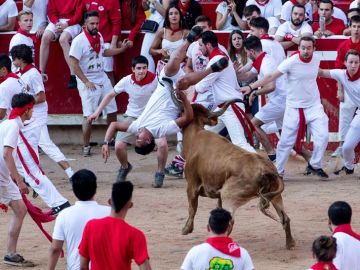 Vaquillas en el último encierro de los Sanfermines 2018 (14-07-2018) Vaquillas en el último encierro de los Sanfermines 2018 (14-07-2018)