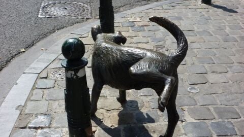 Bruselas, ciudad Dog Friendly