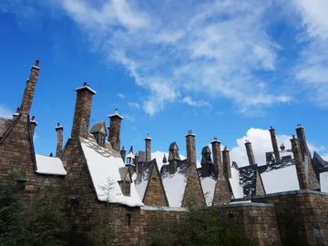 Wizarding World of Harry Potter Wizarding World of Harry Potter