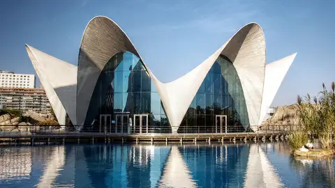 Oceanogràfic de Valencia Oceanogràfic de Valencia