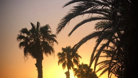 Playa de las Américas Playa de las Américas