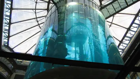 AquaDom. Berlín AquaDom. Berlín
