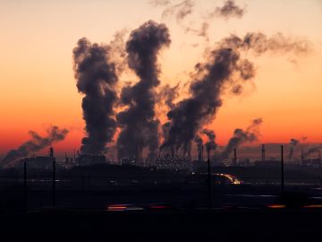 La contaminación ambiental daña la salud neurológica La contaminación ambiental daña la salud neurológica