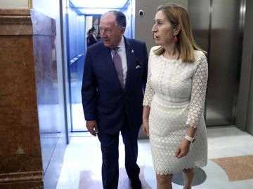 El director del CNI Félix Sanz Roldán, junto a la presidenta del Congreso, Ana Pastor a su salida de la Cámara Baja El director del CNI Félix Sanz Roldán, junto a la presidenta del Congreso, Ana Pastor a su salida de la Cámara Baja