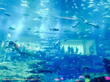 Dubai Mall Dubai Mall