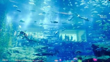 Dubai Mall