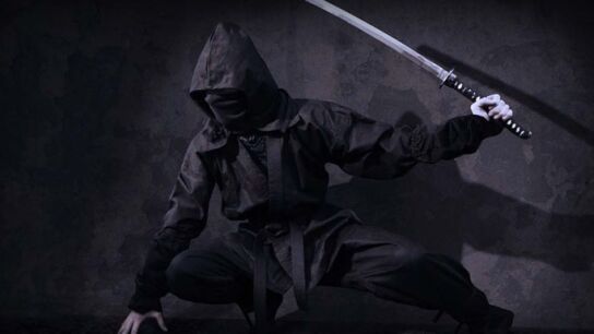 Imagen de archivo de un ninja