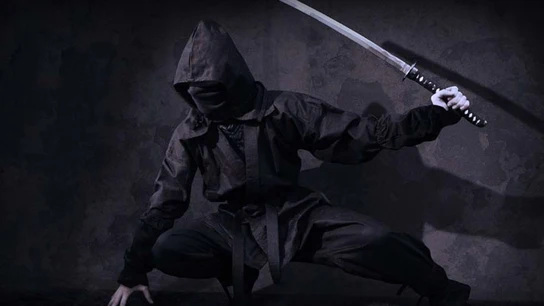 Imagen de archivo de un ninja Imagen de archivo de un ninja