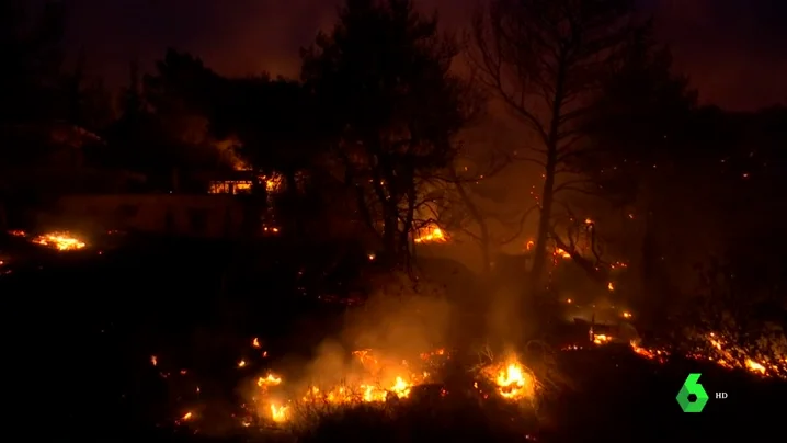 Incendio forestal