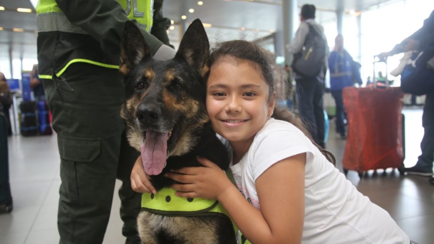 'Sombra', perra polic&iacute;a colombiana experta en detectar droga