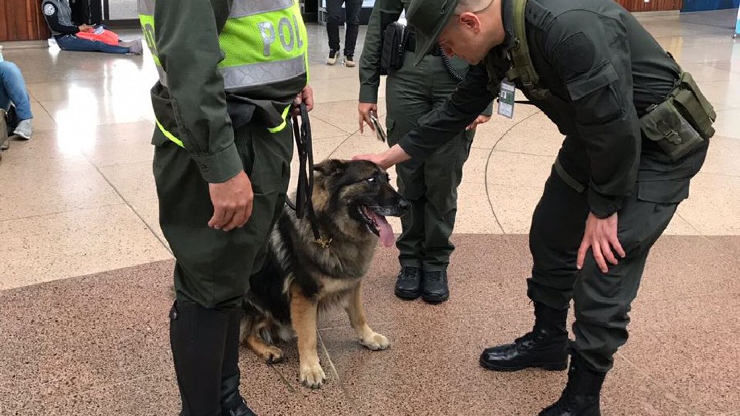 Perra polic&iacute;a en un aeropuerto de Colombia