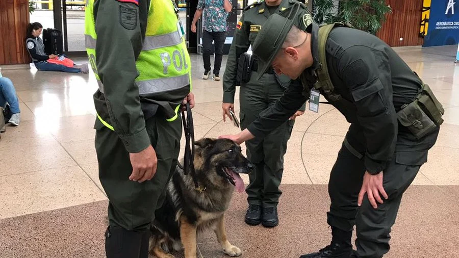 Perra policía en un aeropuerto de Colombia