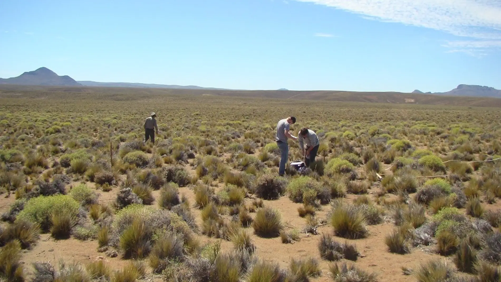 La biodiversidad es fundamental para la estabilidad de los ecosistemas