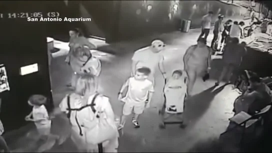 Robar un tiburón usando a un niño y un carrito de bebé y otros extraños casos a los que se ha enfrentado la Policía Robar un tiburón usando a un niño y un carrito de bebé y otros extraños casos a los que se ha enfrentado la Policía