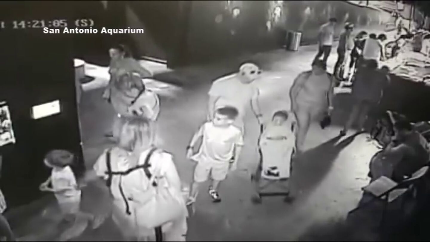 Robar un tibur&oacute;n usando a un ni&ntilde;o y un carrito de beb&eacute; y otros extra&ntilde;os casos a los que se ha enfrentado la Polic&iacute;a