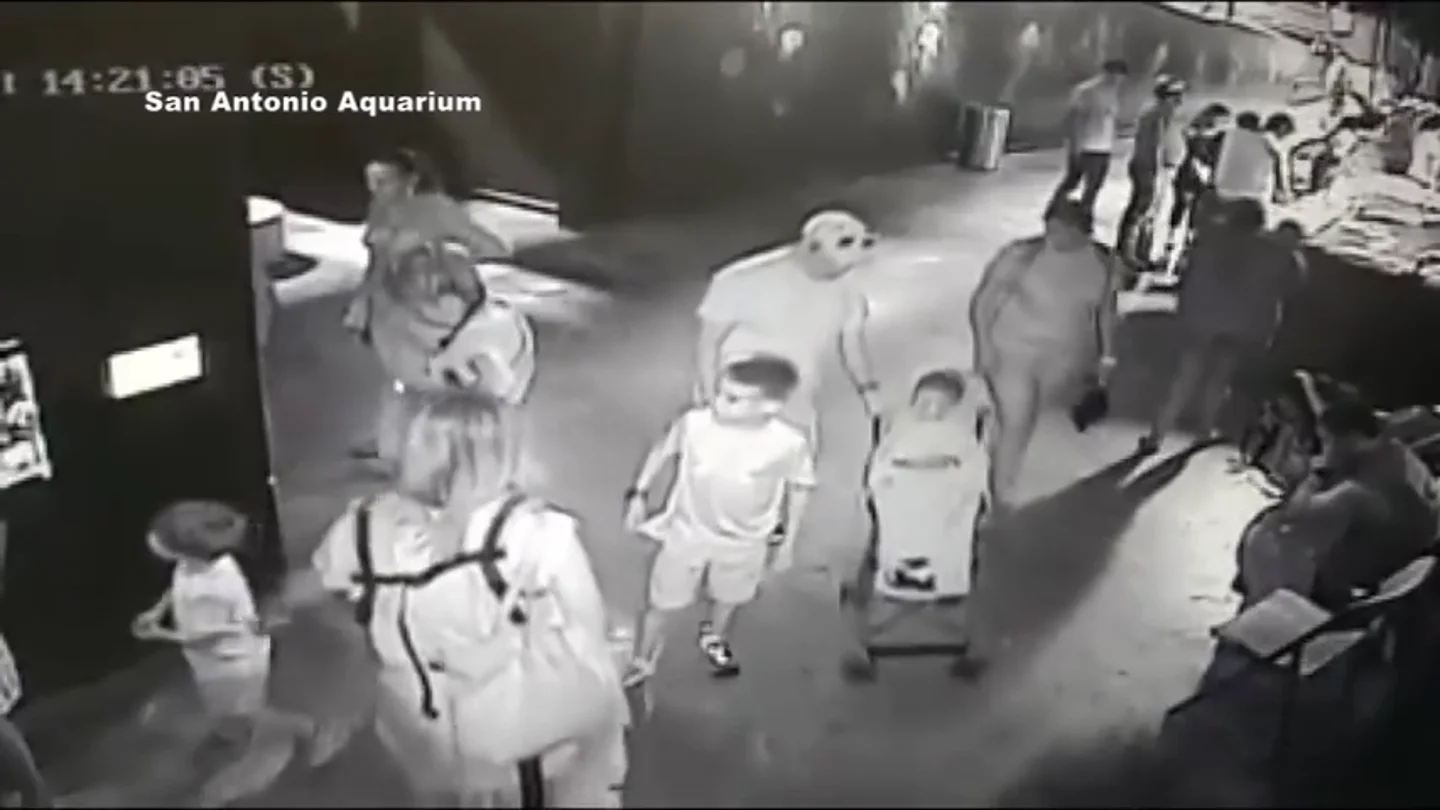 Robar un tiburón usando a un niño y un carrito de bebé y otros extraños casos a los que se ha enfrentado la Policía Robar un tiburón usando a un niño y un carrito de bebé y otros extraños casos a los que se ha enfrentado la Policía