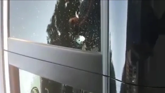 Impacto de bala en el vehículo Impacto de bala en el vehículo