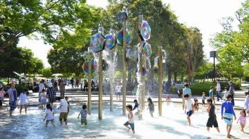 Showa Kinen Park