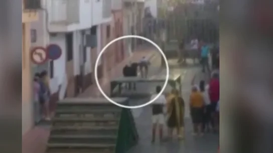 Graba el momento en el que le pilla una vaquilla. Graba el momento en el que le pilla una vaquilla.