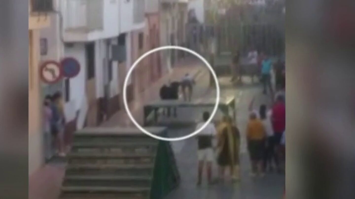 Graba el momento en el que le pilla una vaquilla.