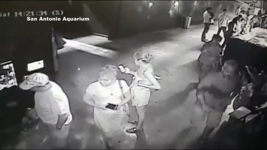 Tres hombres roban un tiburón en un acuario en Texas Tres hombres roban un tiburón en un acuario en Texas