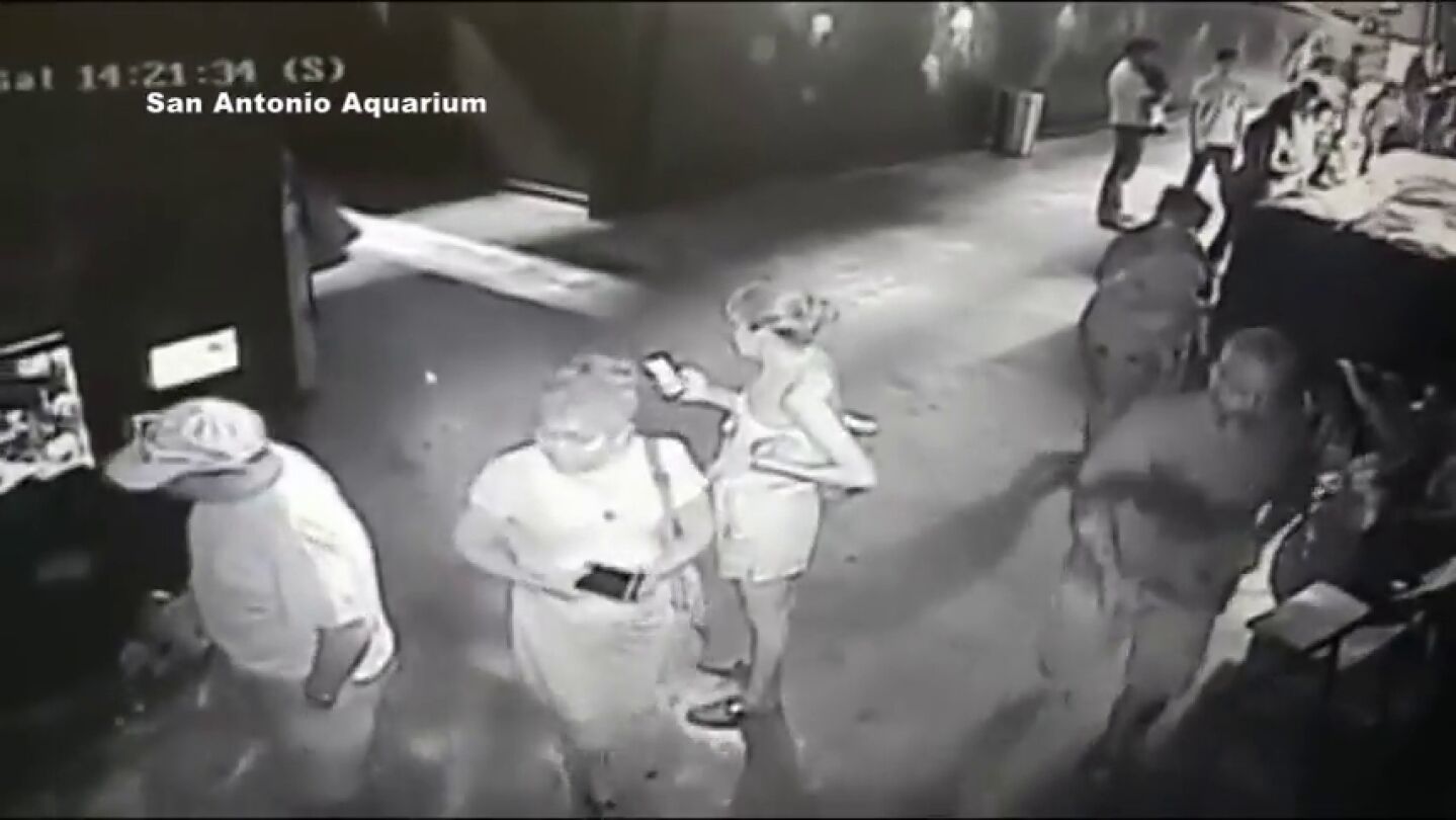 Tres hombres roban un tibur&oacute;n en un acuario en Texas
