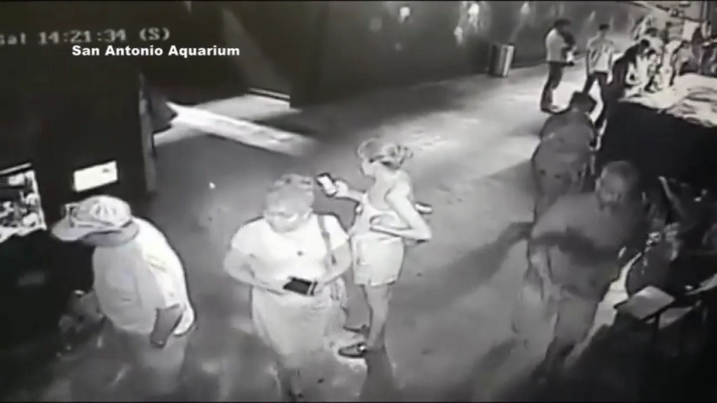 Tres hombres roban un tiburón en un acuario en Texas Tres hombres roban un tiburón en un acuario en Texas