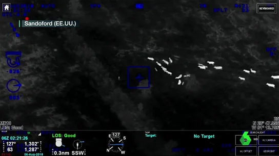 Unas vacas ayudan a la policía a atrapar a una fugitiva Unas vacas ayudan a la policía a atrapar a una fugitiva