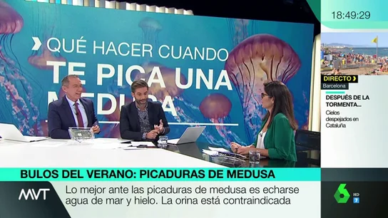 Maldito Bulo desmonta todos los mitos del verano Maldito Bulo desmonta todos los mitos del verano