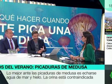 Maldito Bulo desmonta todos los mitos del verano Maldito Bulo desmonta todos los mitos del verano