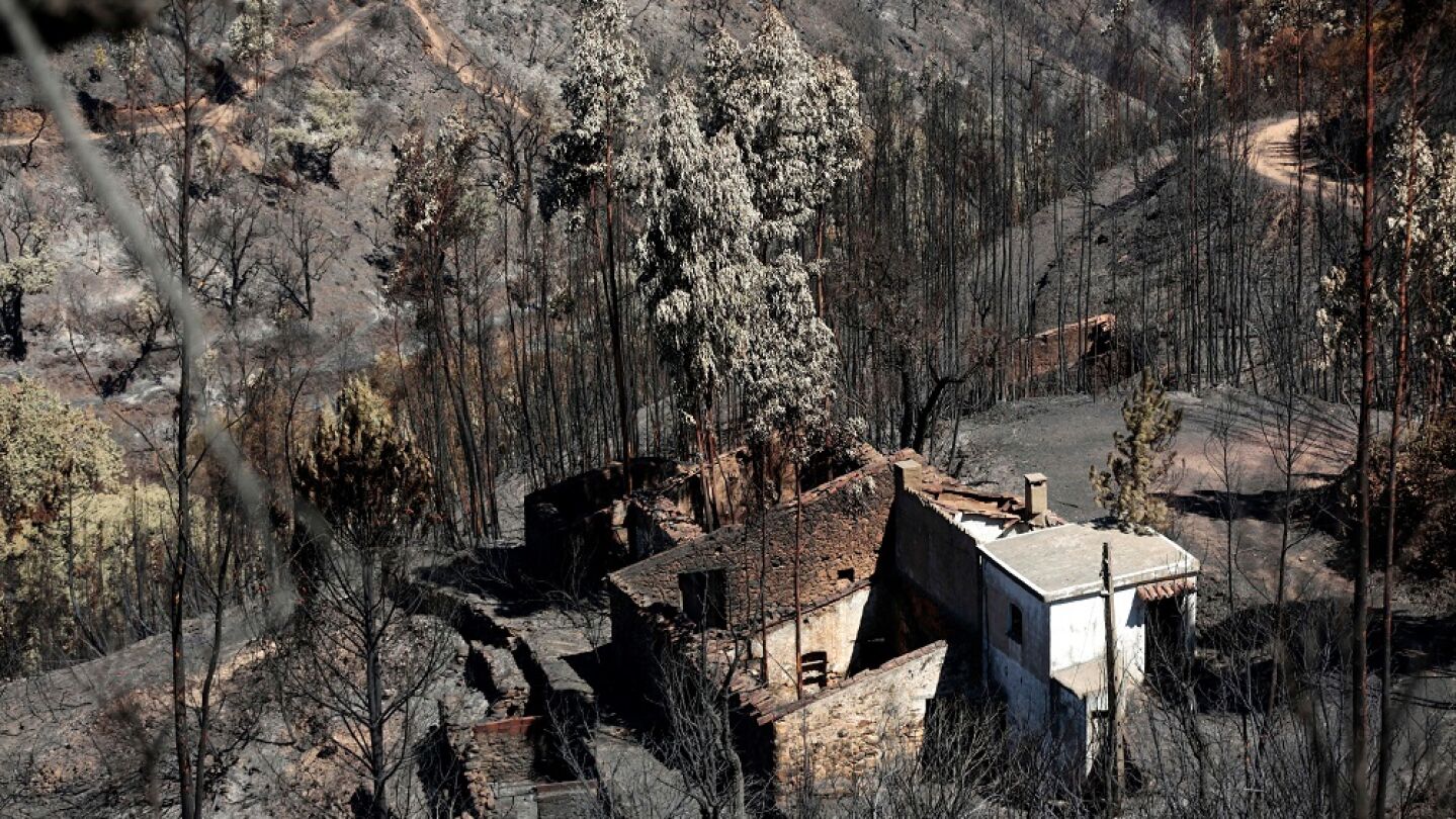 Imagen de las consecuencias del incendio en Portugal