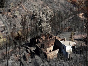 Imagen de las consecuencias del incendio en Portugal Imagen de las consecuencias del incendio en Portugal