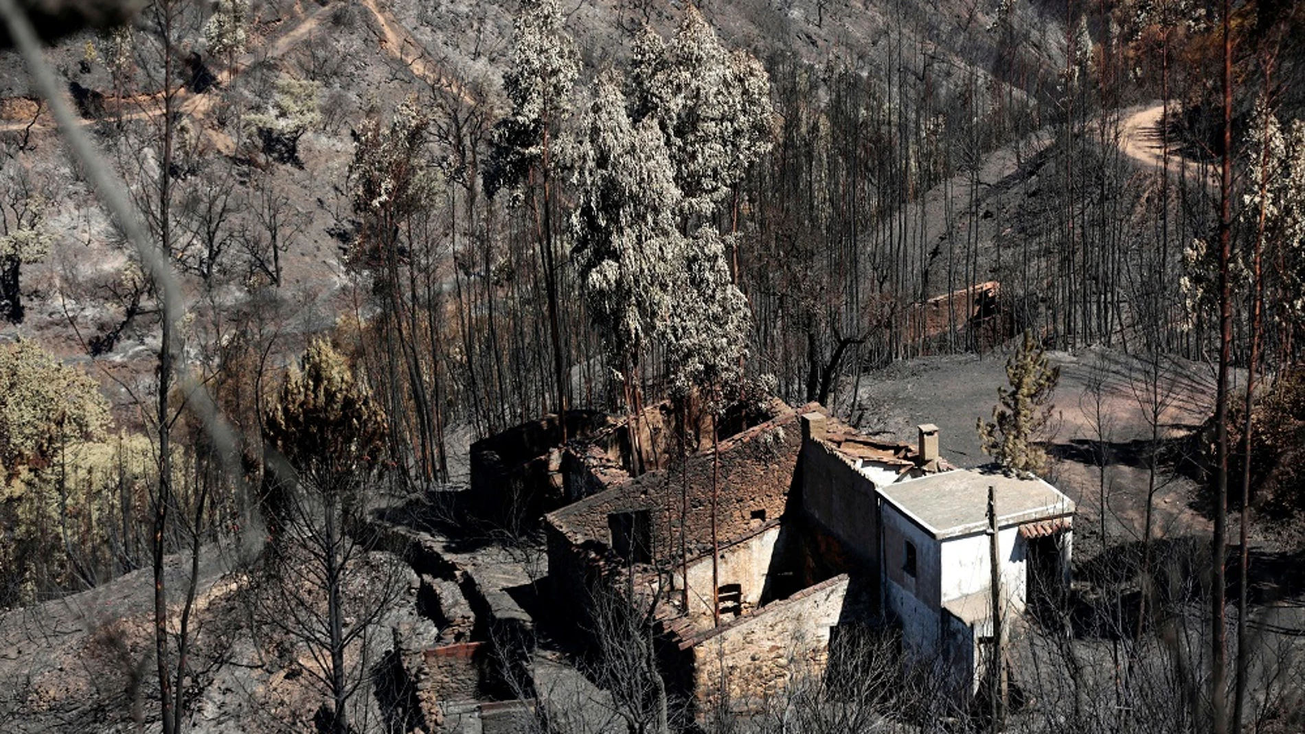 Imagen de las consecuencias del incendio en Portugal